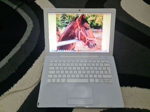 Laptop-uri Apple Macbook. Doar 50 euro
------
Apple Macb...