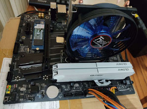 Calculatoare de masa Intel Core i3-12100F 4.3Ghz, 16GB DDR4, NVME 50...