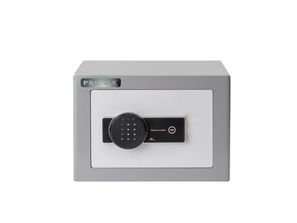 Safeuri Promes-Se25
------
Основные характеристики:
...