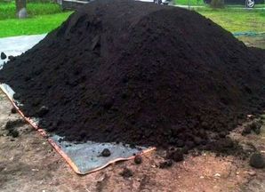 Altele Cernoziom cu livrare (in vrac). Pamant negru.
...