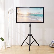 Televizoare Аренда LED TV 55&quot; - 75&quot;. Конференции, мастер кл...