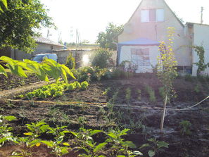 Buiucani Vanzare casa 60 mp, 0,032 ha Buiucani
------
...
