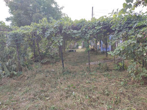 Orhei Casă în Orhei com Ivancea
------
Spre vînzare...